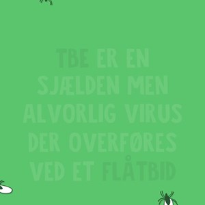 Opslagsbillede