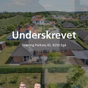 Opslagsbillede