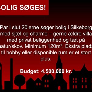 Opslagsbillede
