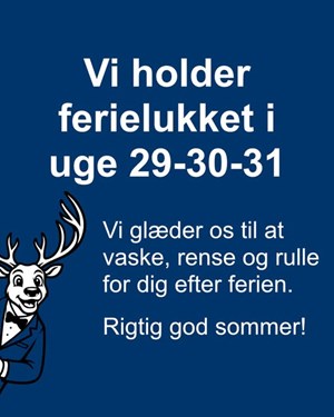 opslagsbillede