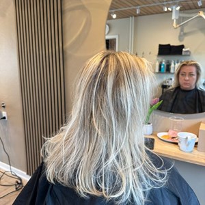 Opslagsbillede