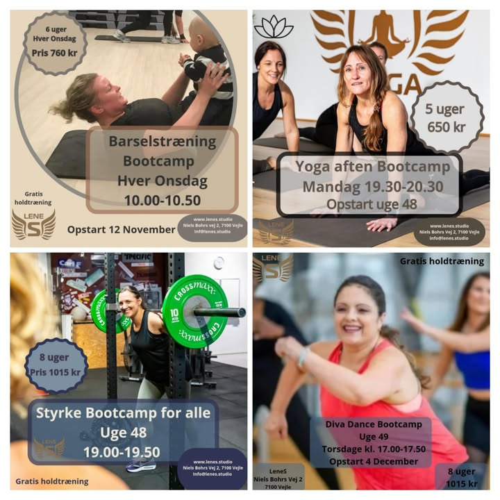 LeneS inviterer til nye bootcamps med start i november og december