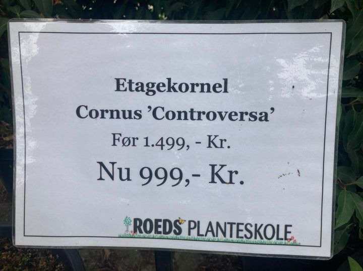 Opslagstavlen: Nyeste opdateringer fra Hobro