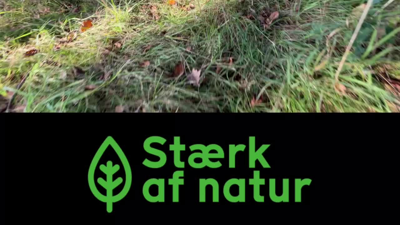 Se dagens updates fra Hammel her