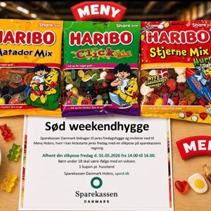 Opslagsbillede