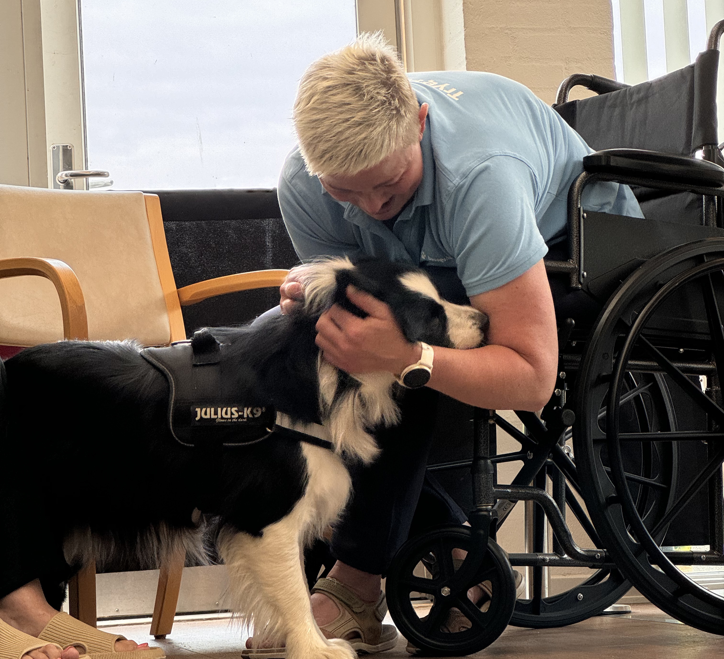 14 nye besøgshunde bestod optagelsesprøven i Gørding ved Esbjerg