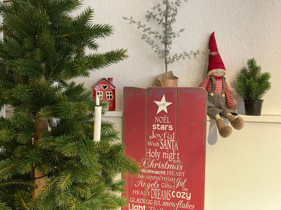 HilmarS ApS præsenterer Danmarks største udvalg af kunstige juletræer og pynt i Skive