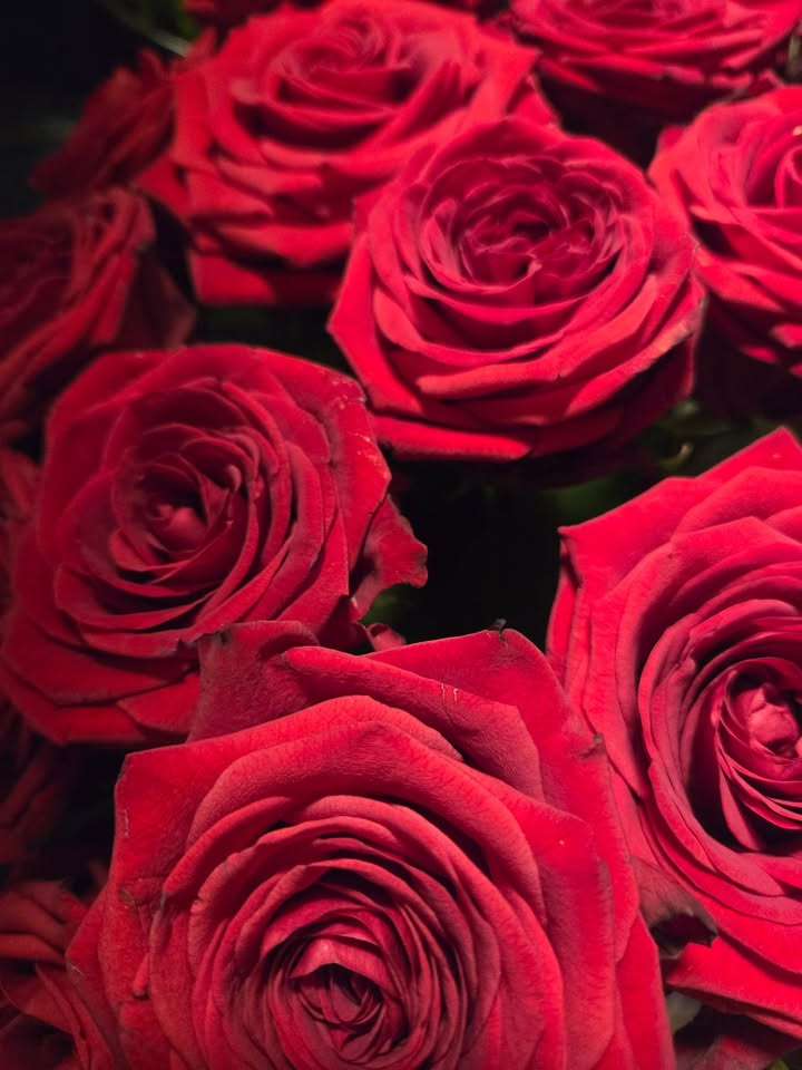 Flore Vida opfordrer til tidlig bestilling af naturlige studenterroser og -buketter