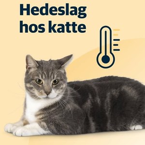 Opslagsbillede