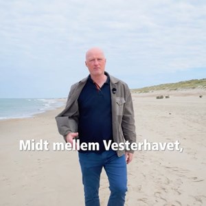 Opslagsbillede