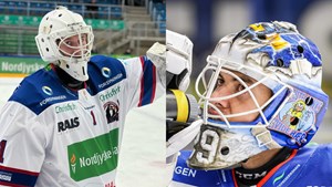Frederikshavn White Hawks har målmandsteamet klar til den nye sæson