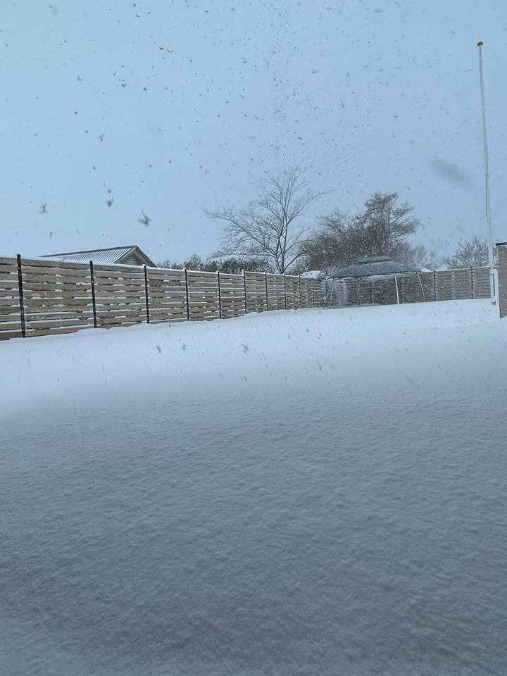 En finger på pulsen i Hirtshals