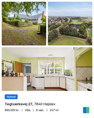 opslagsbillede