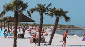 Palmerne indtager stranden tirsdag den 14. maj