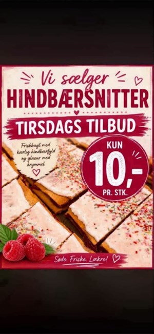 opslagsbillede
