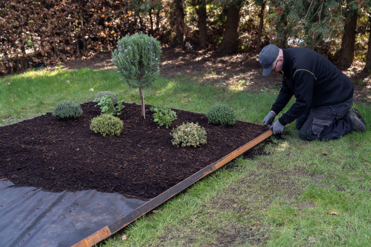 Vallensbækkerne elsker ærter: Sådan gør du haven forårsklar