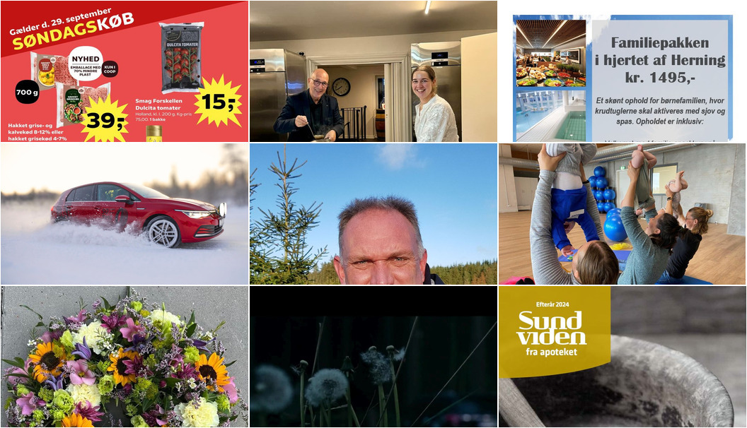 Nyt fra Dolphin Hotel Herning, SUPERBRUGSEN HAMMERUM, EMV og 9 andre