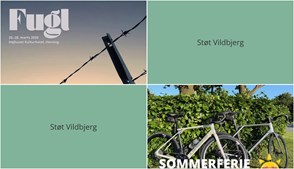 Nyt fra Per P. Cykler og Operaen i Midten