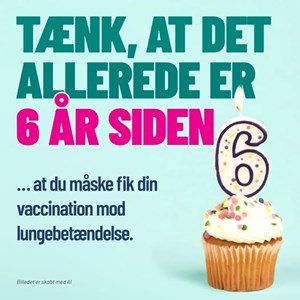 Opslagsbillede