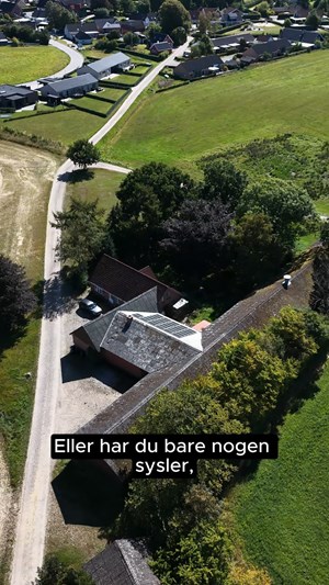 opslagsbillede