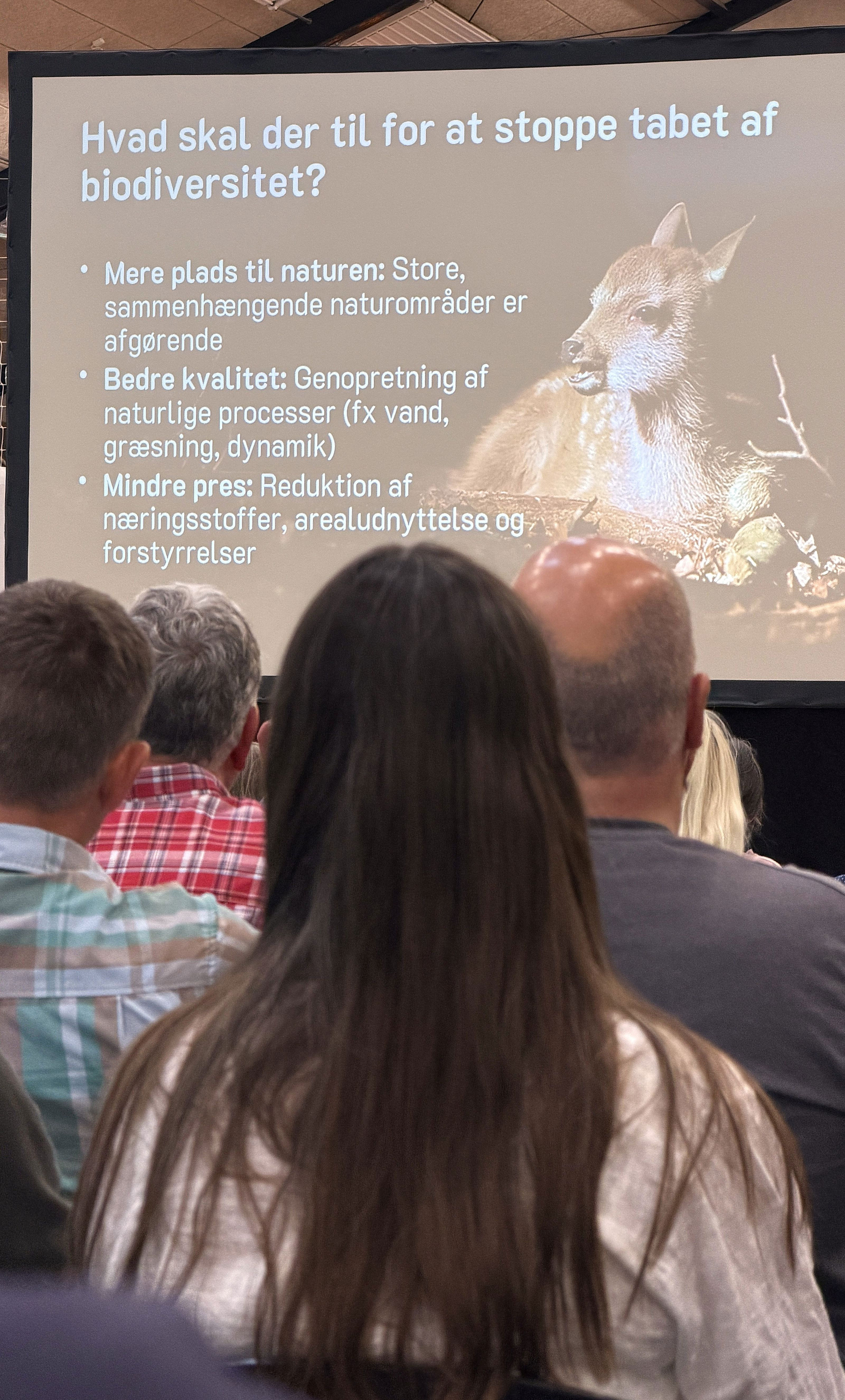 Vejle Kommune vil skabe gigantisk naturprojekt sammen med lodsejere og lokalsamfund