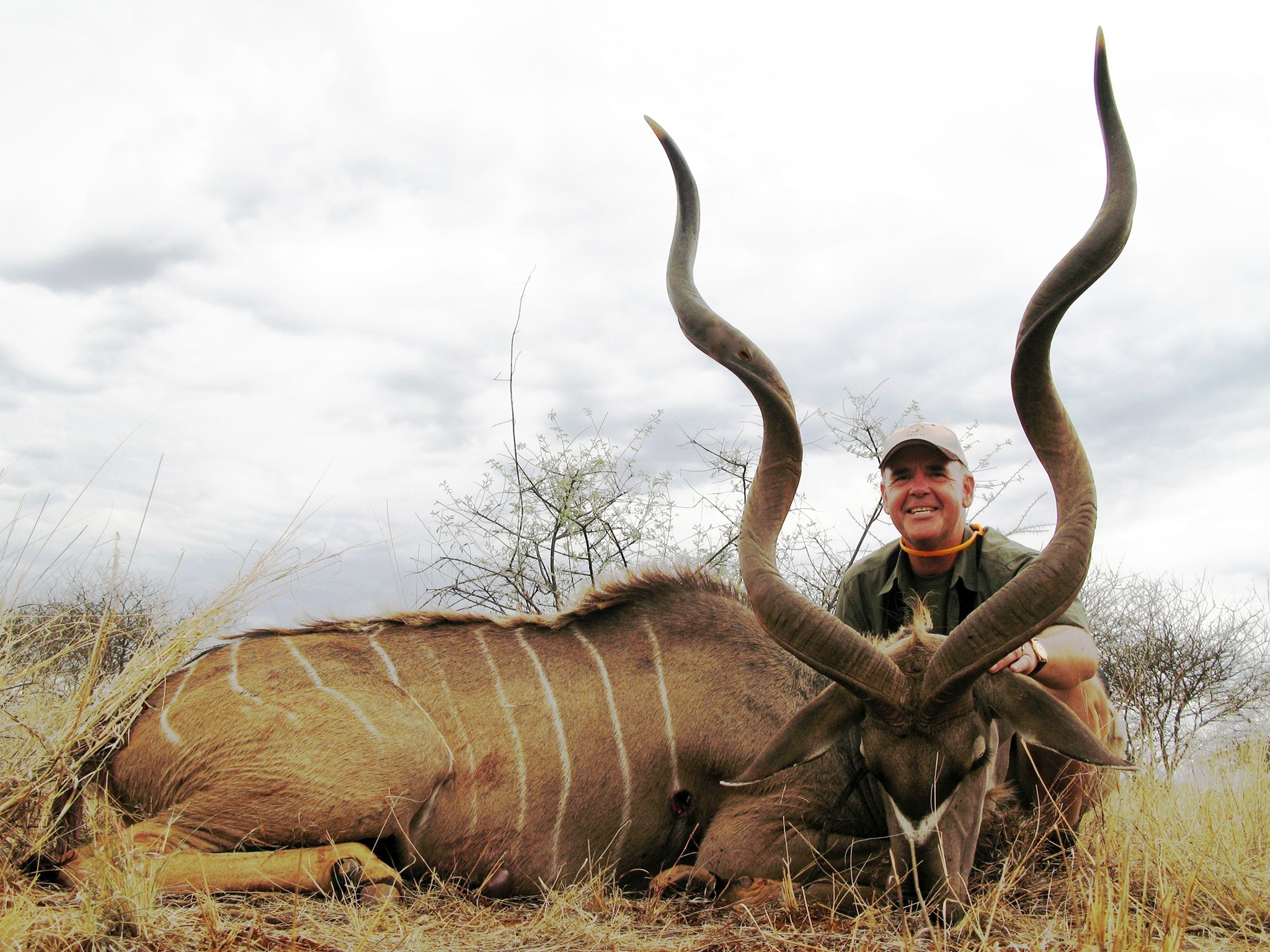 Safariaften på Dronninglund Hotel