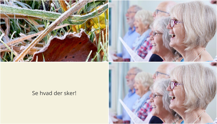 Ugen i Aarup byder på fællessang i Kulturhuset og skovbad i naturen