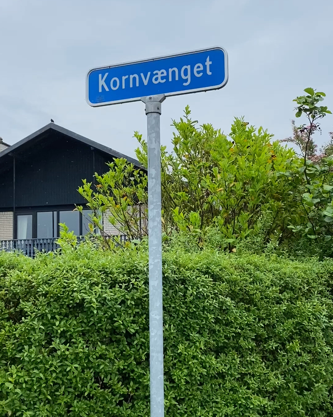 Opslagstavlen: Nyeste opdateringer fra Silkeborg