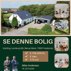 Opslagsbillede