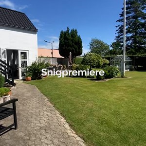 Opslagsbillede