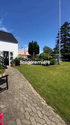 opslagsbillede