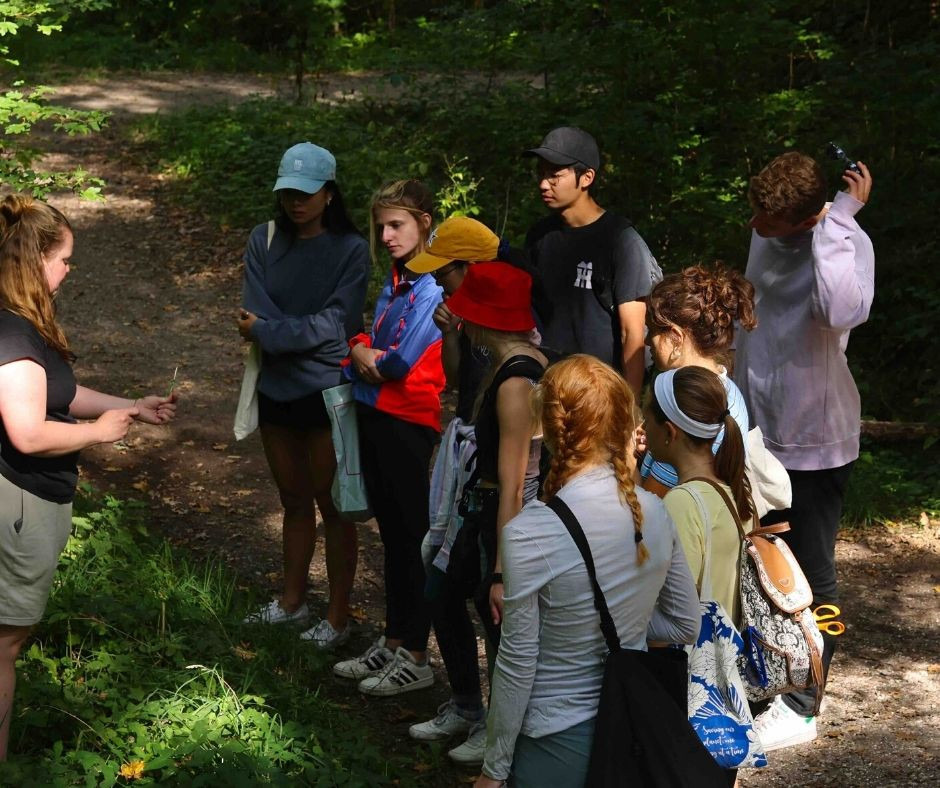 Oplev vilde smage med sanketure i Odense