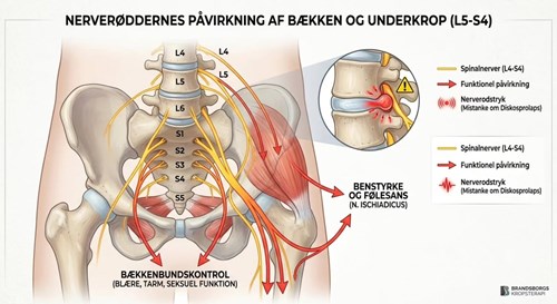 Opslagsbillede