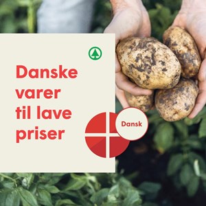 Opslagsbillede