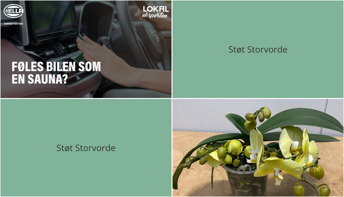 Nyt fra BC Auto v/Bo Mohr Christensen og Meny Klarup