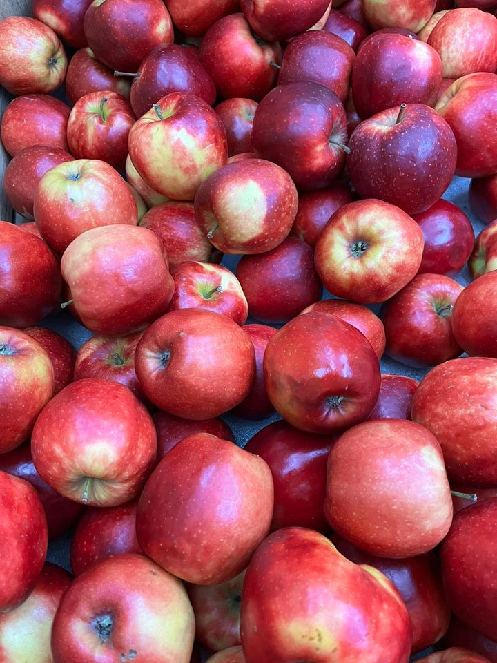 Se dagens updates fra Odder her