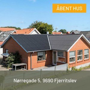 Opslagsbillede