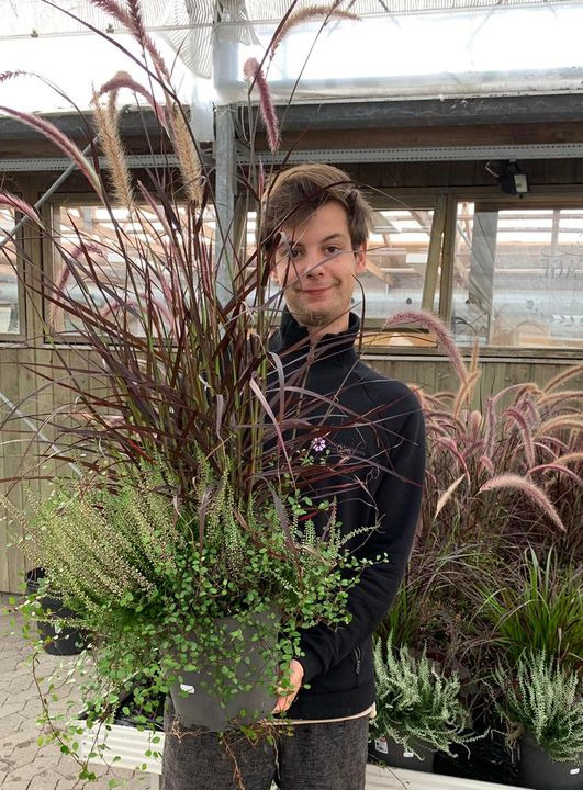 Se dagens updates fra Brønderslev her