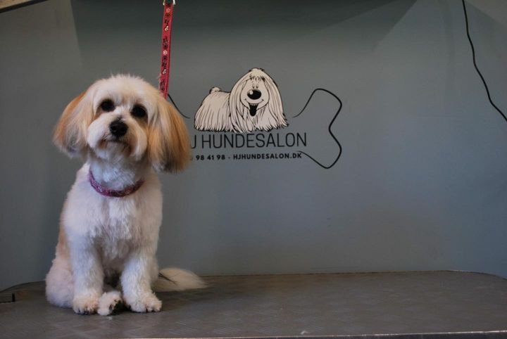 Hold trit med lokalområdet: Nyt fra Sæby