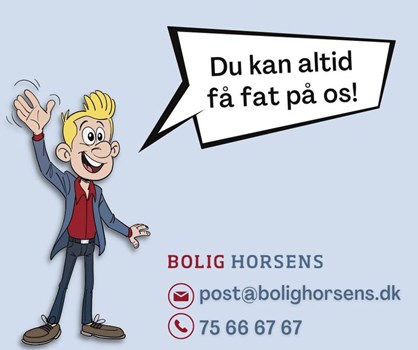 Opslagsbillede