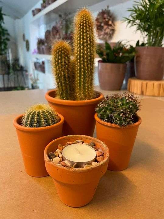 Det nyeste på Roslevs opslagstavle