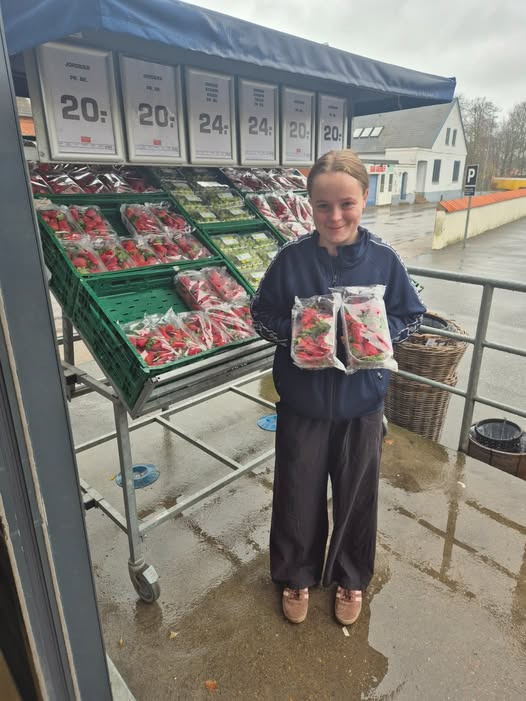 Rema 1000 Rosenkrantzgade tilbyder spanske jordbær til kun 20 kr.