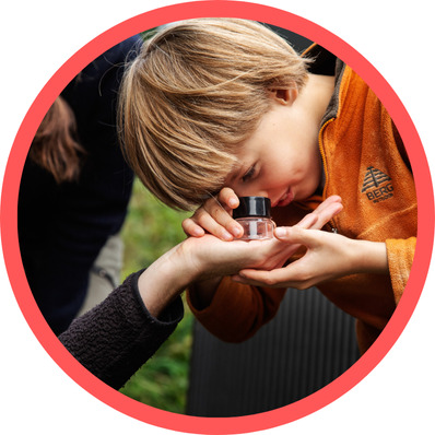 Oplev Marielundskovens hemmeligheder på naturvandring