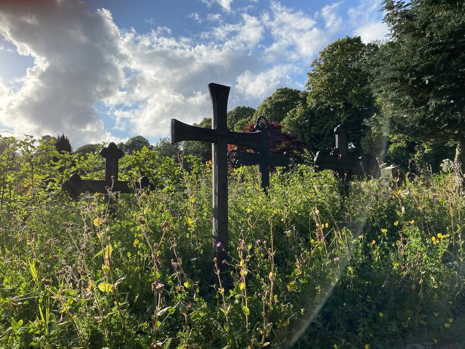 Trenskow ser forandringer i Aalborgs kirkegårde med fokus på grønt og rummelighed