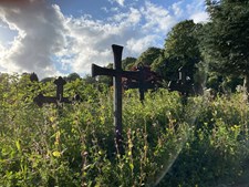 Trenskow ser forandringer i Aalborgs kirkegårde med fokus på grønt og rummelighed