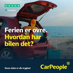 opslagsbillede