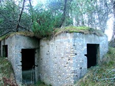 Oplev historien på en vandretur ved Bulbjerg