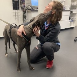 En finger på pulsen i Risskov