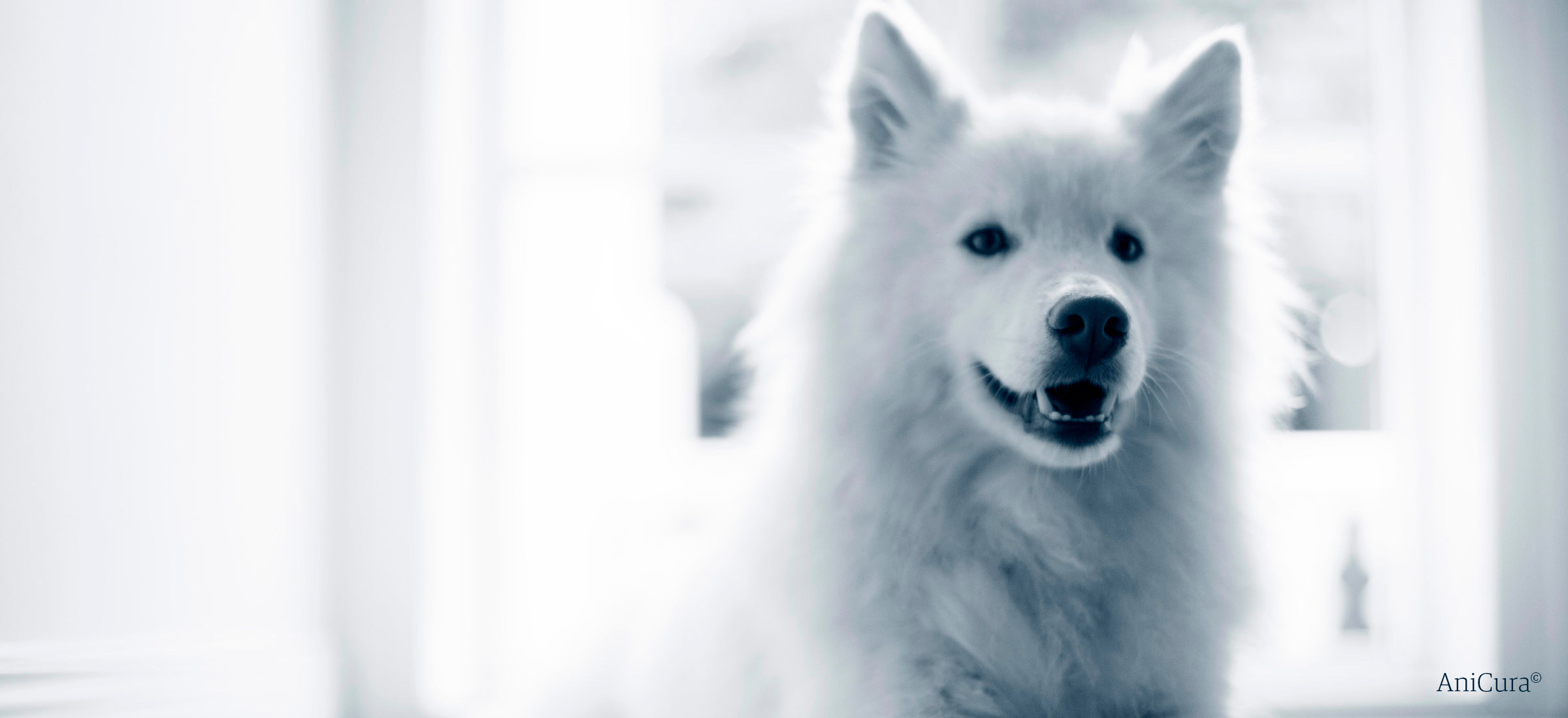 Hold trit med lokalområdet: Nyt fra Hjørring