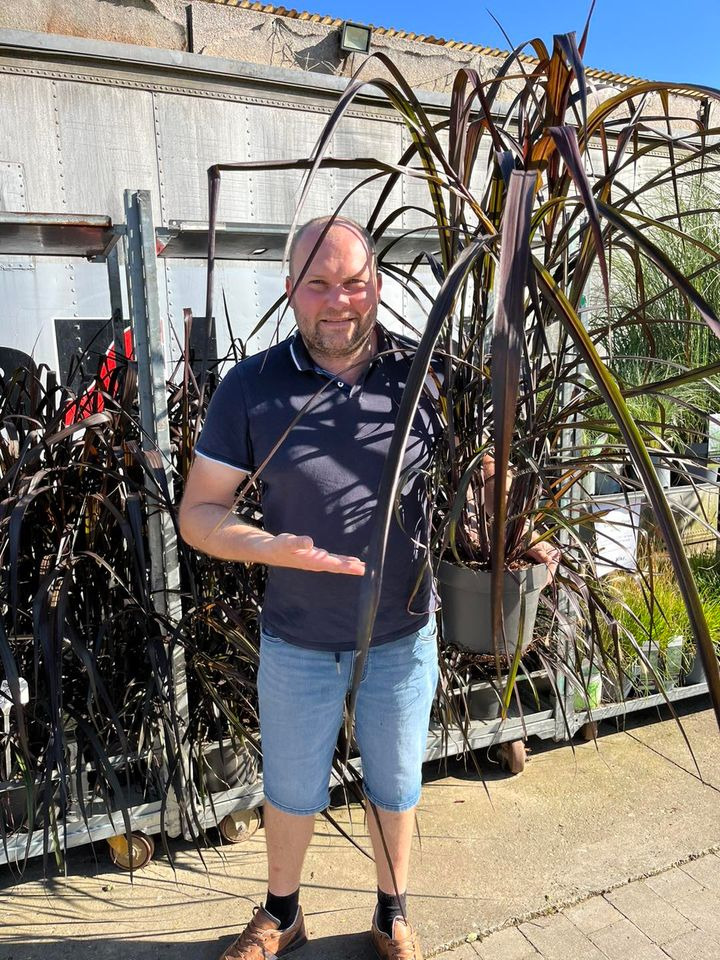 Hold trit med lokalområdet: Nyt fra Horsens